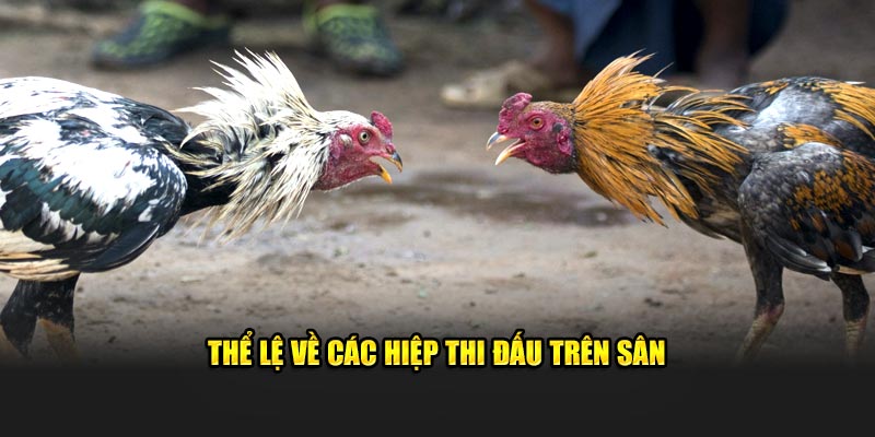 Thể lệ về các hiệp thi đấu trên sân 